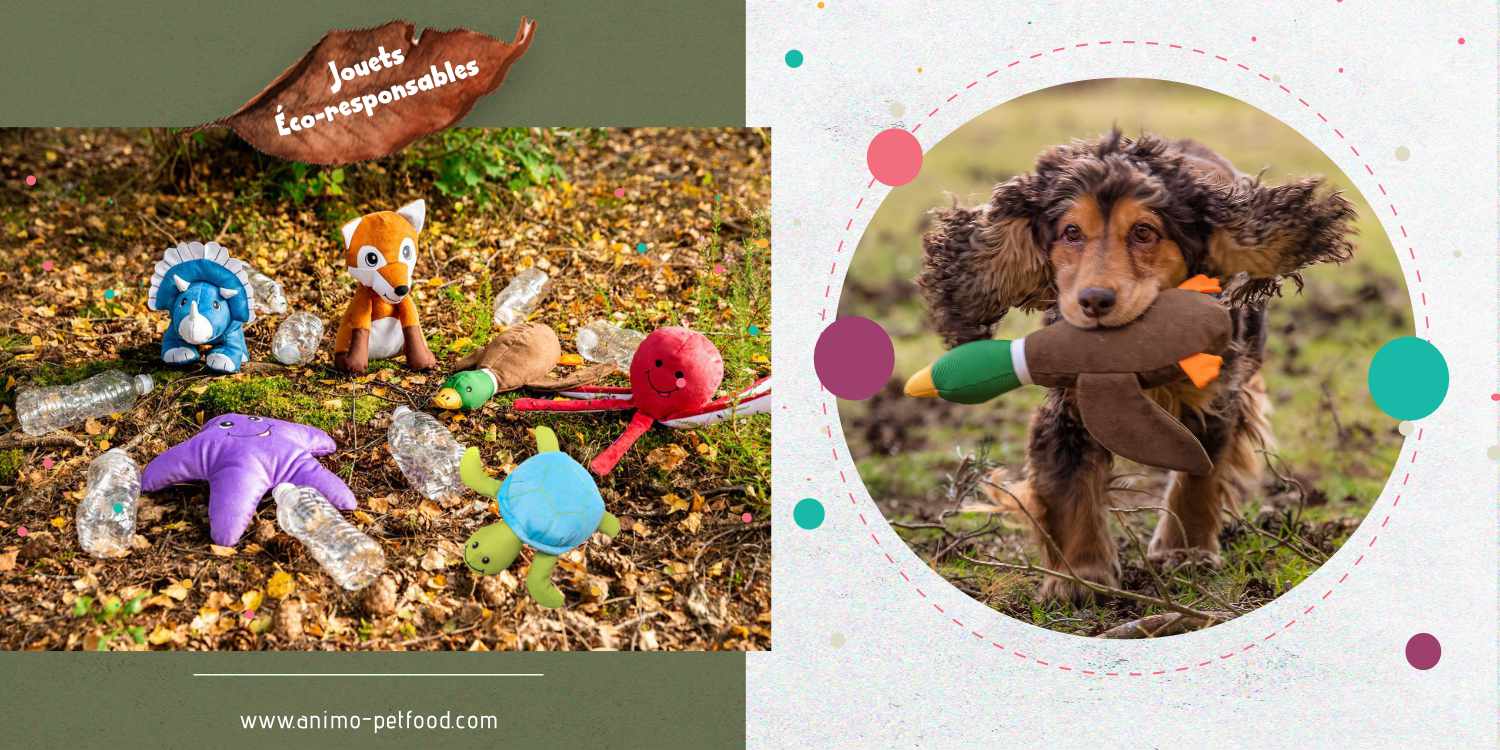 jouets_ecoresponsables_pour_chien